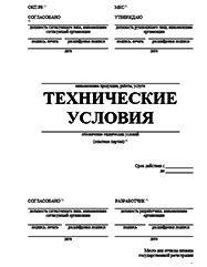 Отказное письмо Нижнекамске Разработка ТУ и другой нормативно-технической документации